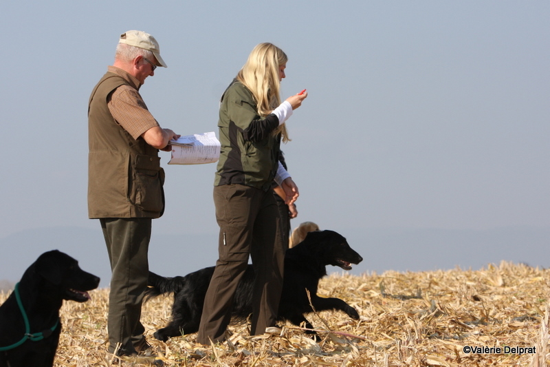 Field Erstein 09 (140).JPG